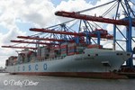 Cosco Africa, Containerschiff