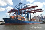 HS Bizet, Containerschiff