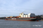 MSC Federica, Containerschiff