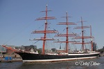 Sedov