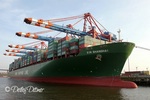 Xin Shanghai, Containerschiff