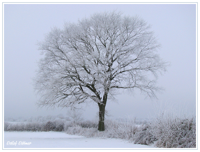 Winterlandschaft