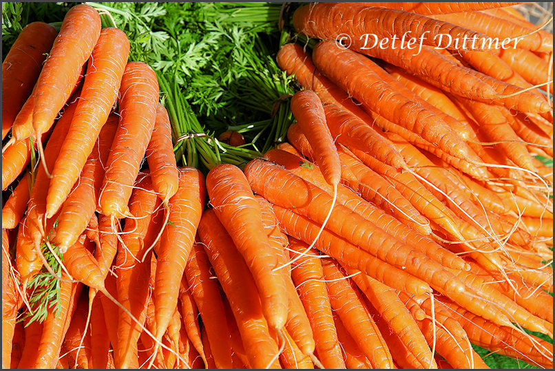 Mhren bzw. Karotten auf dem Wochenmarkt
