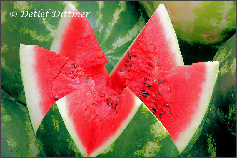 Wassermelone - eine Erfrischung im Sommer