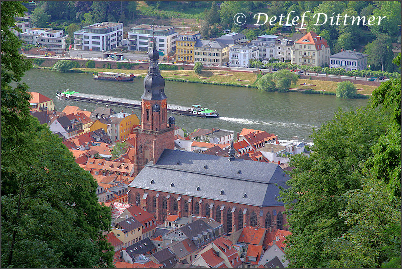 Blick auf einen Teil der Altstadt von Heidelberg und den Neckar