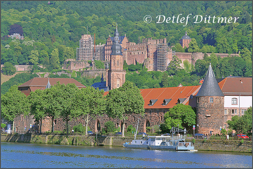 Blick ber den Neckar auf Altstadt und Schloss von Heidelberg